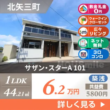 サザン・スターA 101