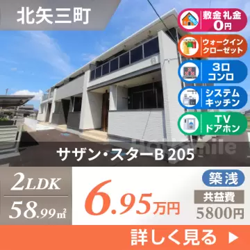 サザン・スターB 205