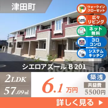 シエロアズール B 201