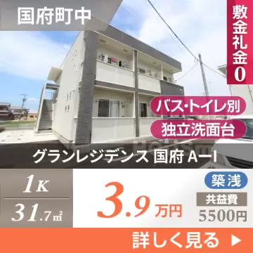 グランレジデンス 国府 AーI 203
