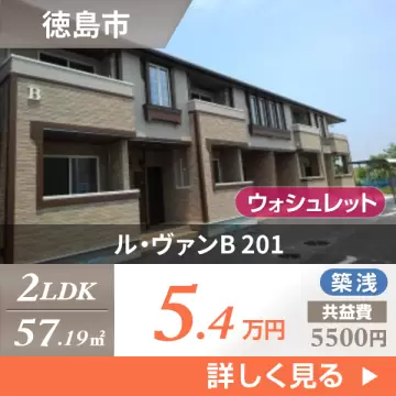 ル・ヴァンB 201