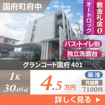 グランコート国府 401