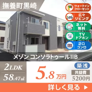 メゾン コンソラトゥールIIB 205