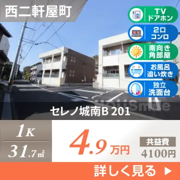 セレノ城南B 201