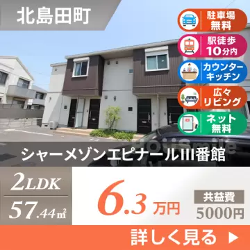 シャーメゾンエピナールIII番館 B203