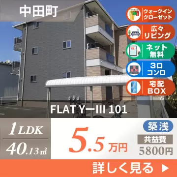 FLAT YーIII 101