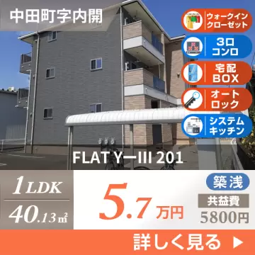 FLAT YーIII 201