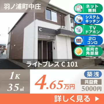 ライトブレス C 101