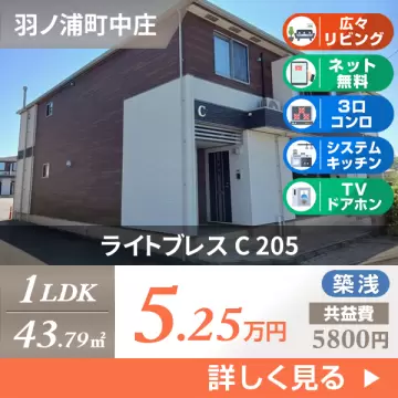 ライトブレス C 205