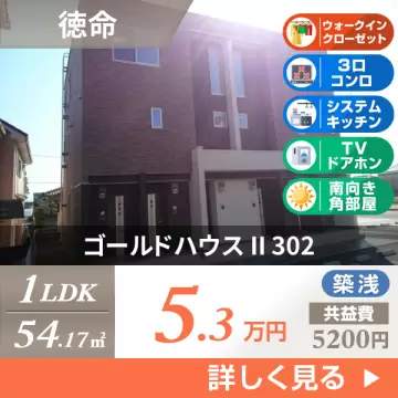 ゴールドハウス II 302