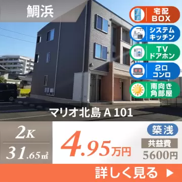 マリオ北島 A 101