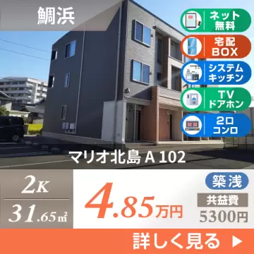 マリオ北島 A 102