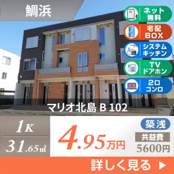 マリオ北島 B 102