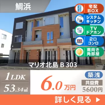 マリオ北島 B 303