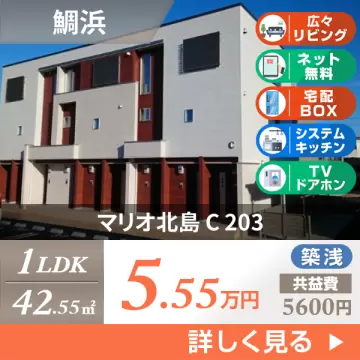 マリオ北島 C 203