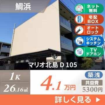 マリオ北島 D 105