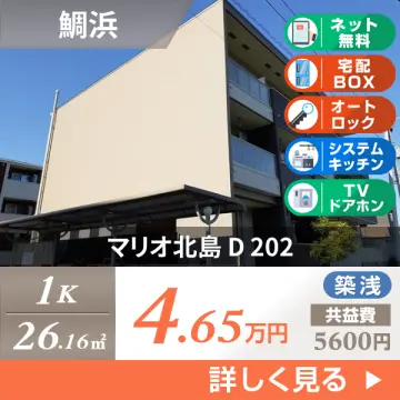 マリオ北島 D 202