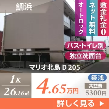 マリオ北島 D 205