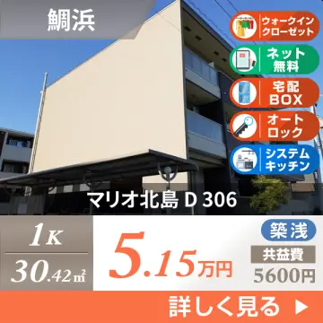 マリオ北島 D 306