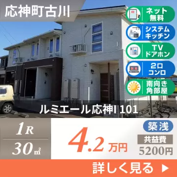 ルミエール応神I 101