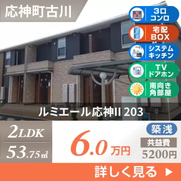 ルミエール応神II 203