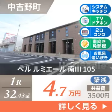 ベル ルミエール 南III 105