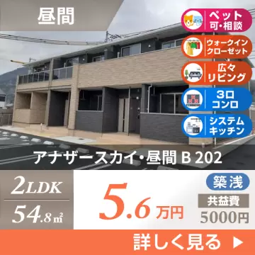 アナザースカイ・昼間 B 202