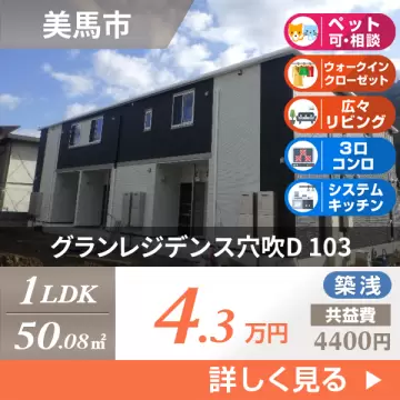 グランレジデンス穴吹D 103