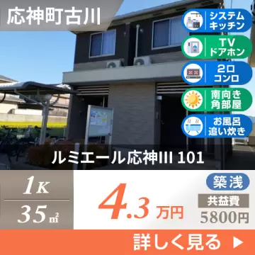 ルミエール応神III 101