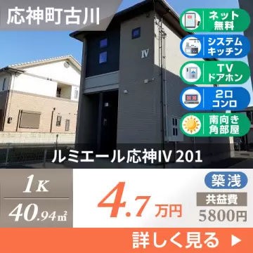 ルミエール応神IV 201
