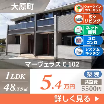 マーヴェラス C 102