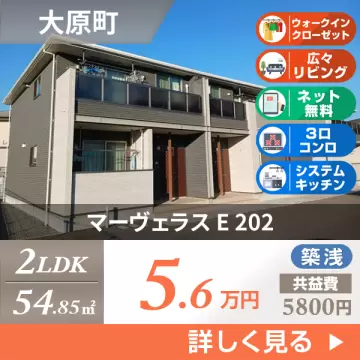 マーヴェラス E 202