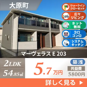 マーヴェラス E 203