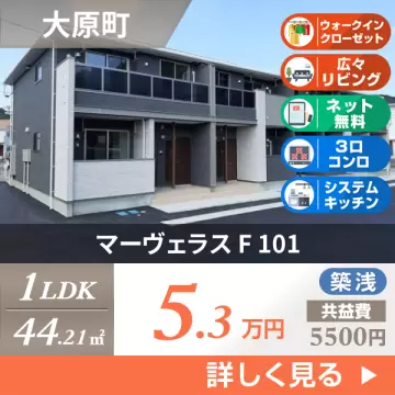 マーヴェラス F 101