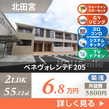 ベネヴォレンテF 205