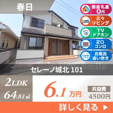 セレーノ城北 101