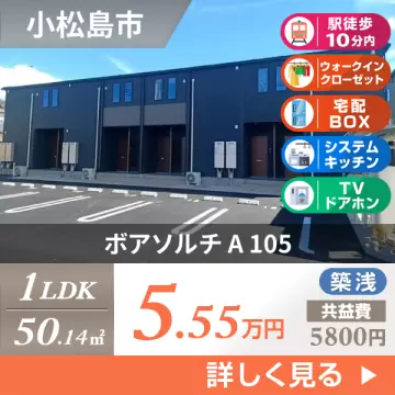 ボアソルチ A 105