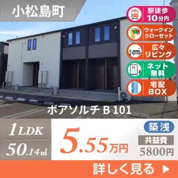 ボアソルチ B 101