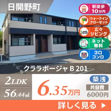 クララボージャ B 201