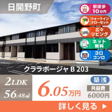 クララボージャ B 203