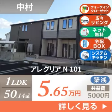 アレグリア N 101