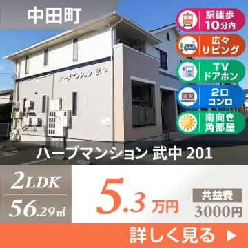ハーブマンション 武中 201