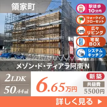 メゾン・ド・ティアラ阿南 N 101