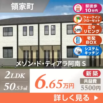 メゾン・ド・ティアラ阿南 S 105