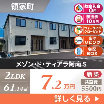 メゾン・ド・ティアラ阿南 S 203