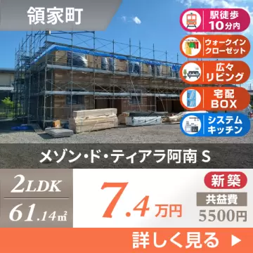 メゾン・ド・ティアラ阿南 S 205