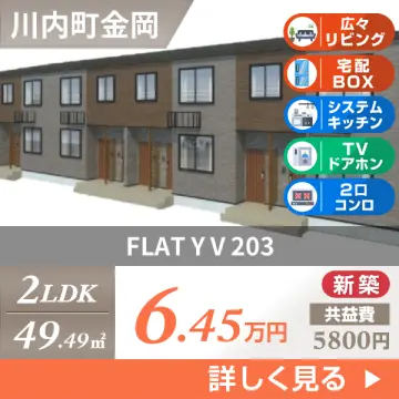 FLAT Y V 203