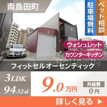 フィットセルオーセンティック B