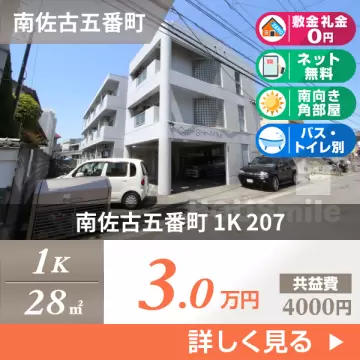 南佐古五番町 マンション 1K 207