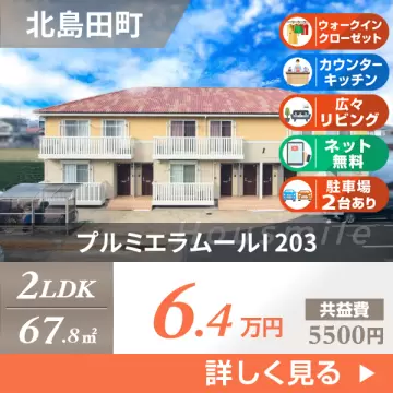 プルミエラムールI 203